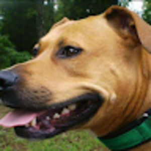 Meet your Posher, Lorrie